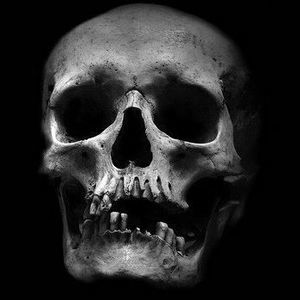 Meet your Posher, Jesse